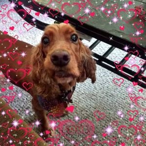 Meet your Posher, Jacqueline